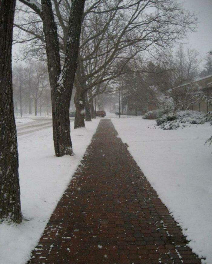 Snow-covered street with a cleared brick sidewalk lined by trees, showcasing small genius things some countries do for safety.