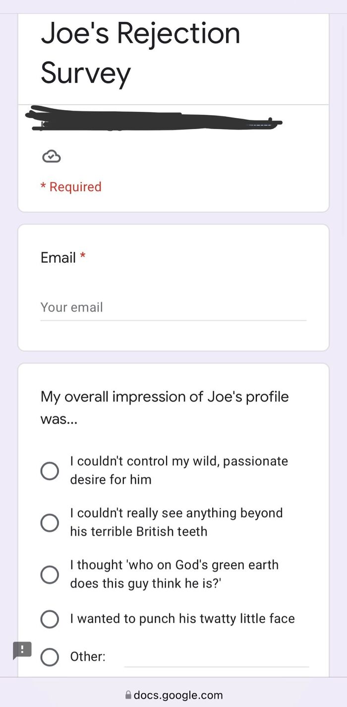 Survey form titled Joe's Rejection Survey with multiple choice questions about brutal rejections and impressions on Joe's profile.