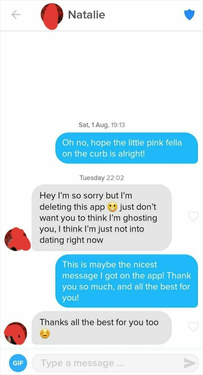 Screenshot of a dating app chat showing a polite but clear brutal rejection that left the user baffled.