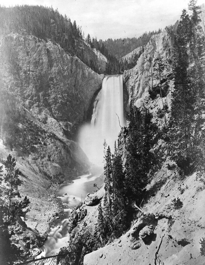 Black and white 19th century photo of a waterfall surrounded by rocky cliffs and dense pine trees in a forested area.