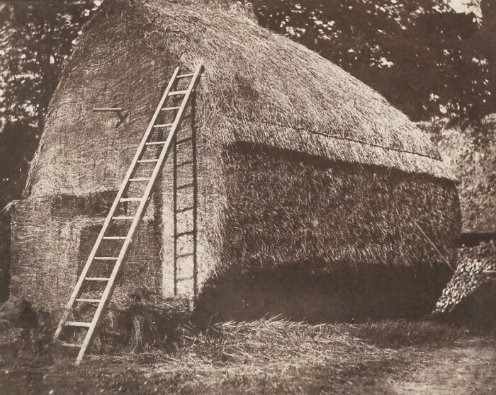 19th century invaluable photo showing a large haystack with a wooden ladder leaning against it in a rural setting