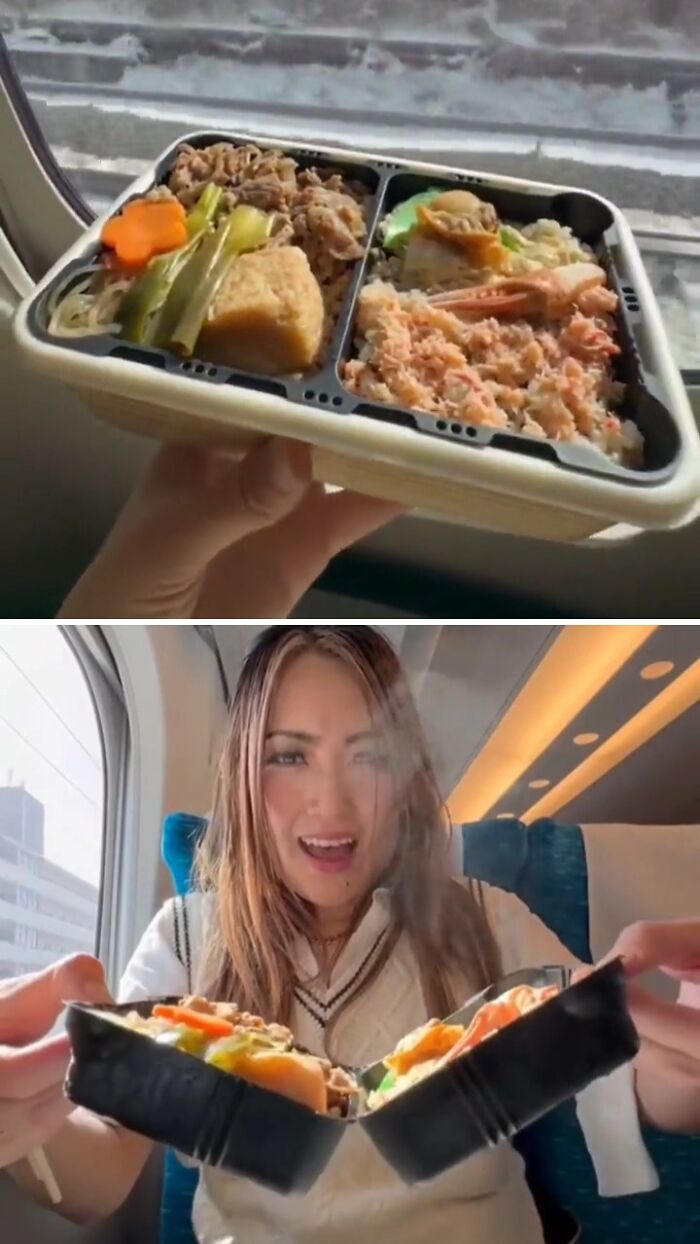 Bento meal on a train showcasing small but genius things some countries do for convenient travel dining.