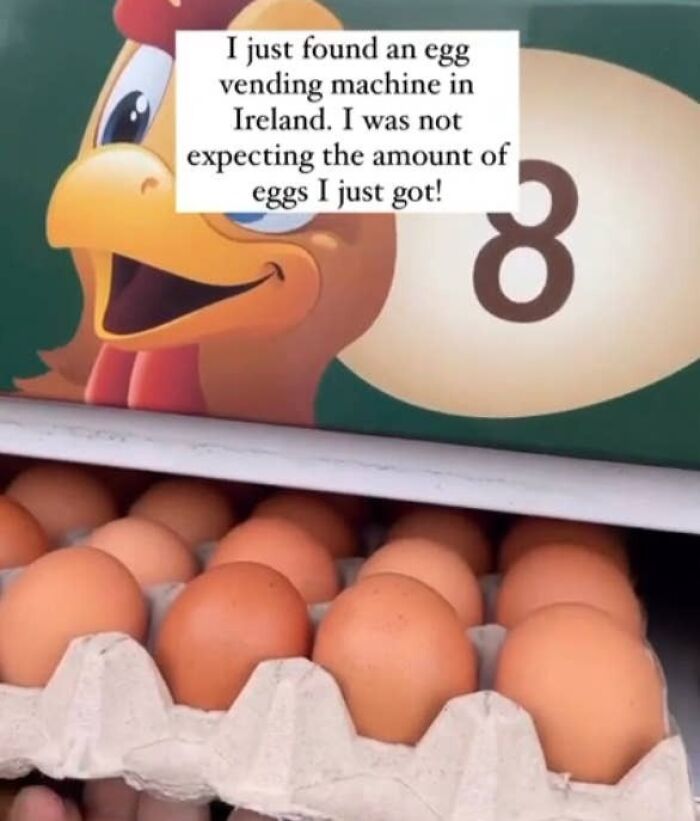 Egg vending machine in Ireland showcasing small but genius things some countries do for convenience.