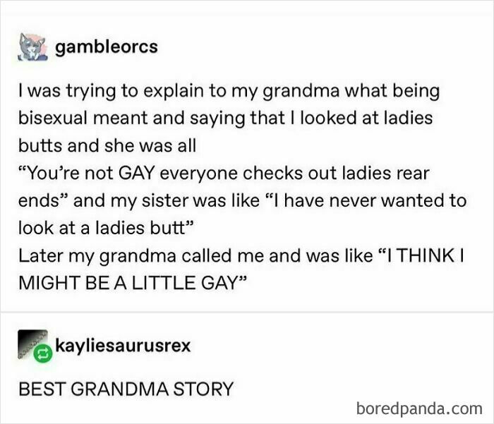 Text post sharing a humorous LGBTQ+ meme about a grandma’s reaction to learning about bisexuality and attraction.