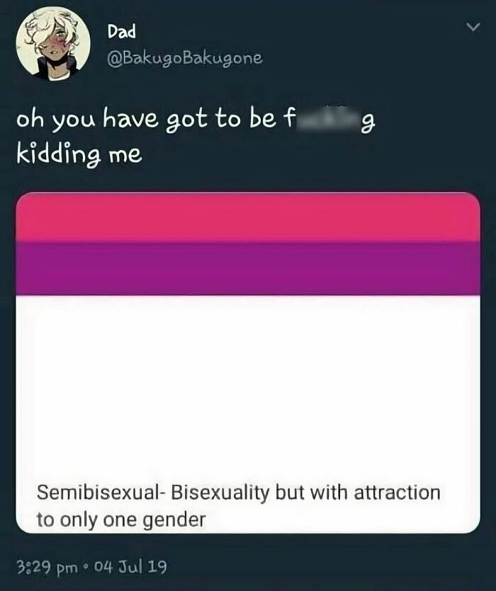 Screenshot of an LGBTQ+ meme explaining semibisexuality as attraction to only one gender with a bisexual pride flag.