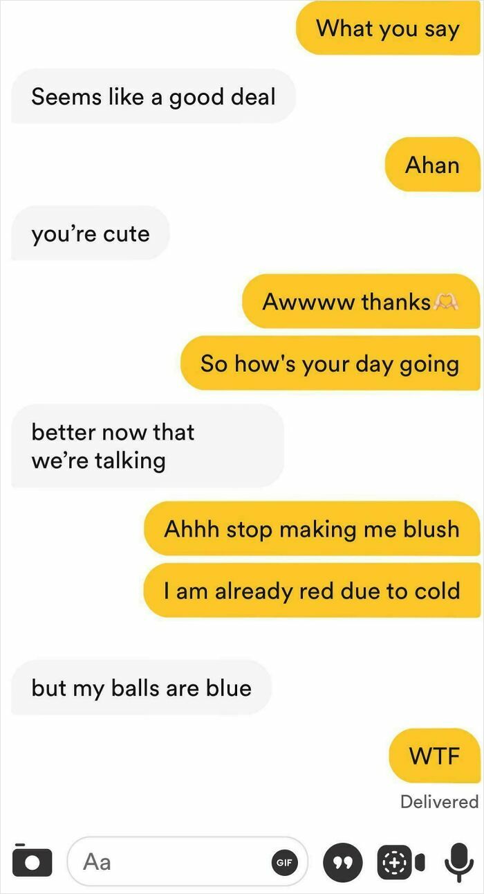 Text message conversation showing humorous awkwardness of finding love online with unexpected replies in dating chat.