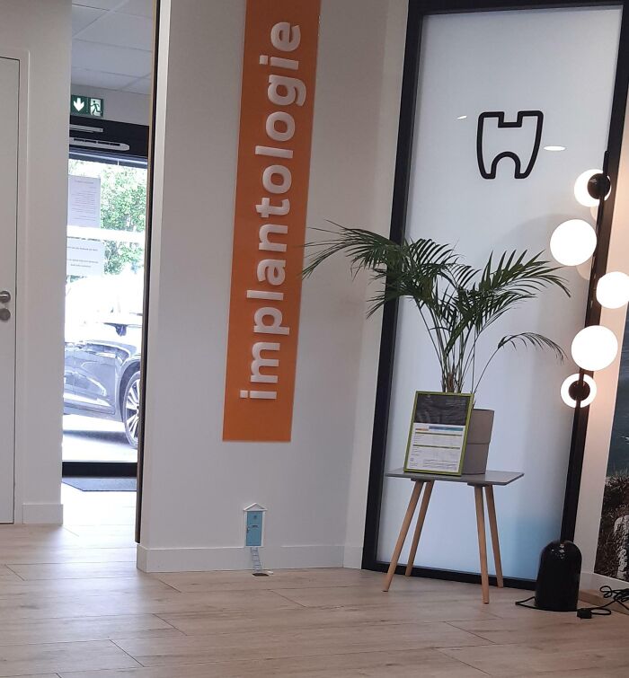 Dental implantology clinic interior with plant and small door on baseboard, showcasing small but genius things some countries do.