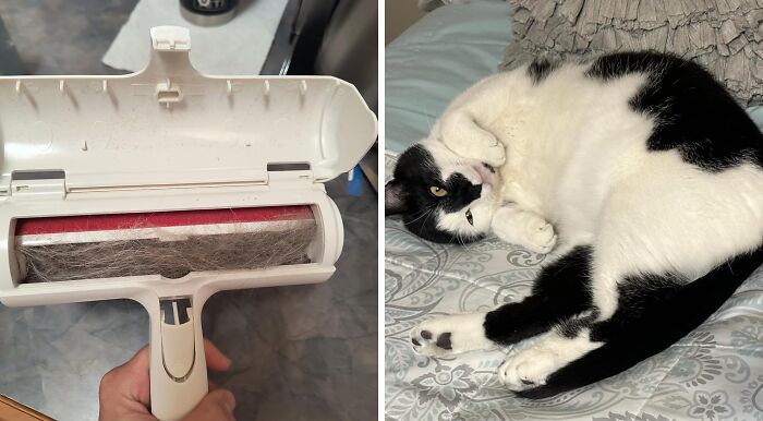 Lint roller removing pet hair from fabric, showcasing a product for pet hair problems so specific you'll swear someone is spying on you.