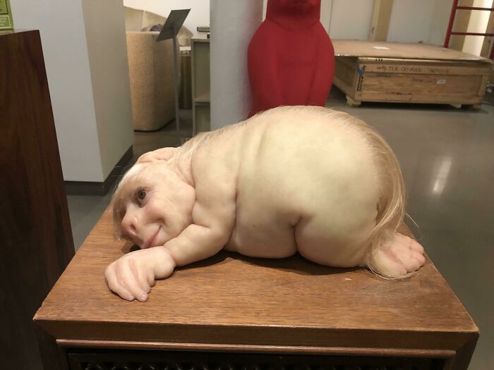 Strange object resembling a human-animal hybrid on a table, illustrating bizarre hotel mishaps shared online.