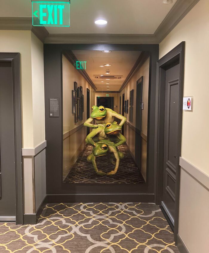 Mural of frogs stacked in a hotel hallway creating an unusual and humorous hotel mess viewed by guests near exit signs.