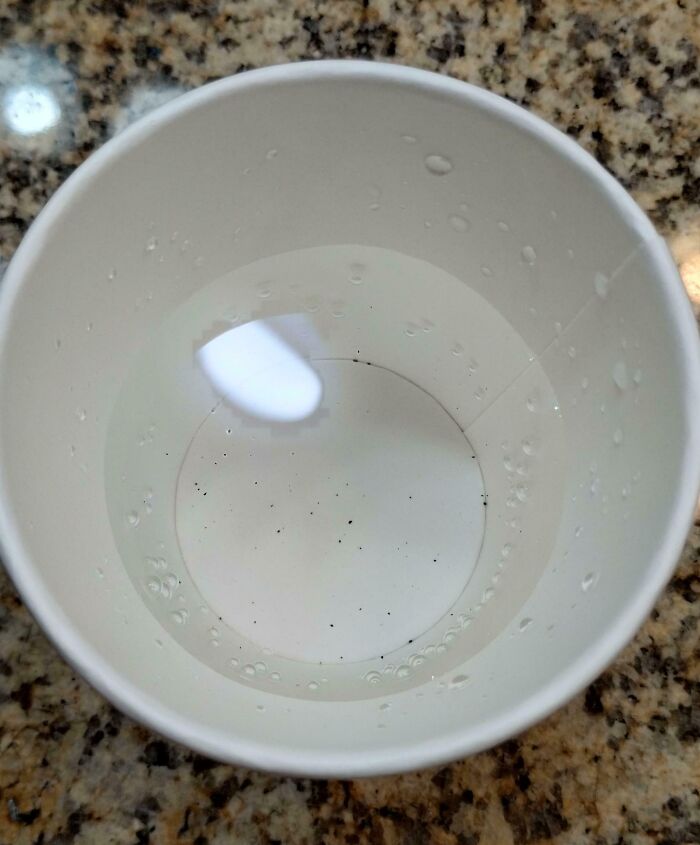 White disposable cup with clear water and black specks inside, highlighting hotels messed up cleanliness issues.