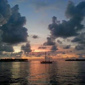 andreagoodell avatar