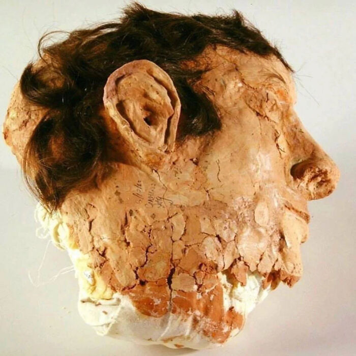 Close-up of an extraordinary and fascinating ancient human head model with c*****d ear and hair details on display.