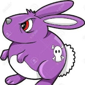 sebastianlady avatar