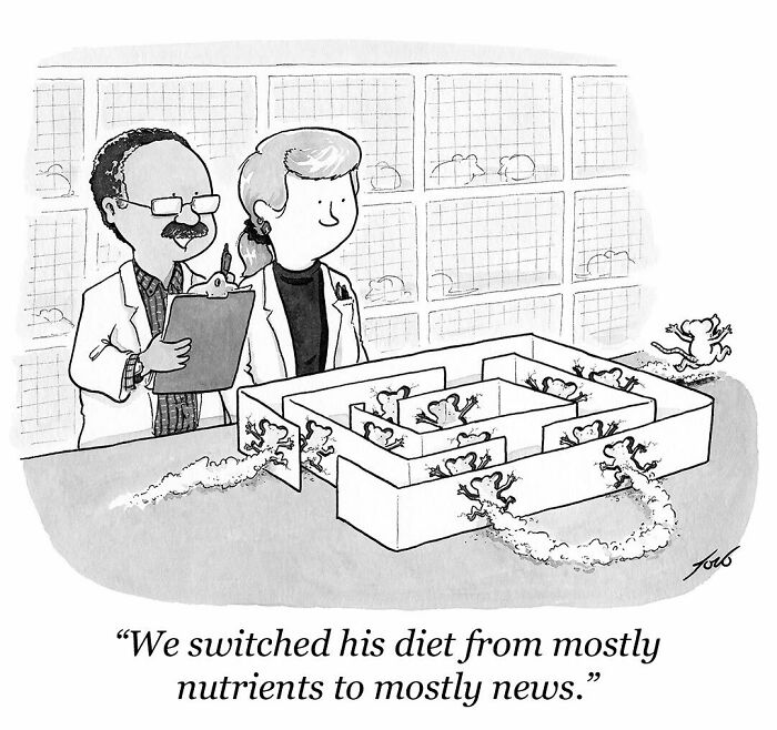 Scientists observing mice escaping a maze, featured in quirky and clever one-panel comics by Tom Toro.