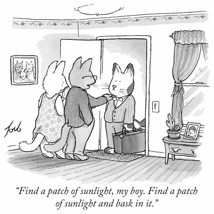 Black and white one-panel comic by Tom Toro showing anthropomorphic cats with a humorous life advice theme.