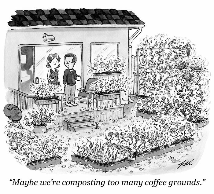 Black and white one-panel comic by Tom Toro showing a couple with a garden overrun by coffee plants, illustrating quirky humor.