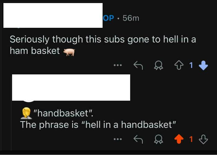 Typo in the phrase hell in a handbasket in a social media comment highlighting common mistakes.