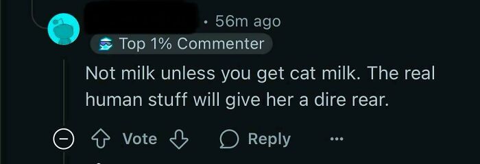 Comment with a notable typo about milk and a humorous warning, illustrating common mistakes affecting perceived intelligence.
