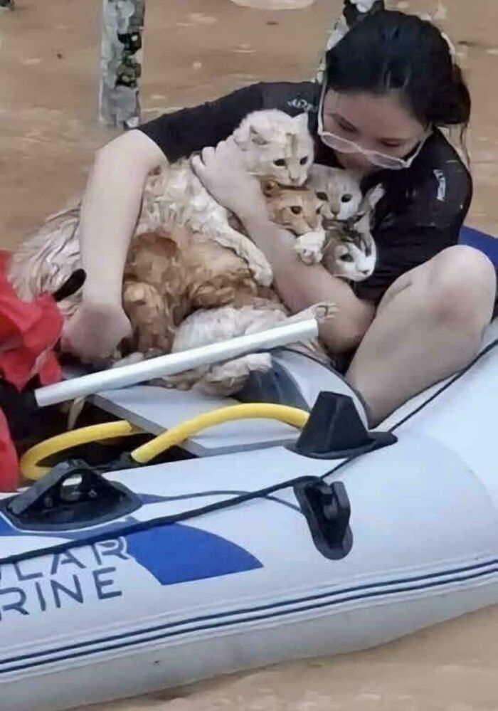 Person holding multiple cats in a boat, the scene resembling a Renaissance masterpiece captured unintentionally.