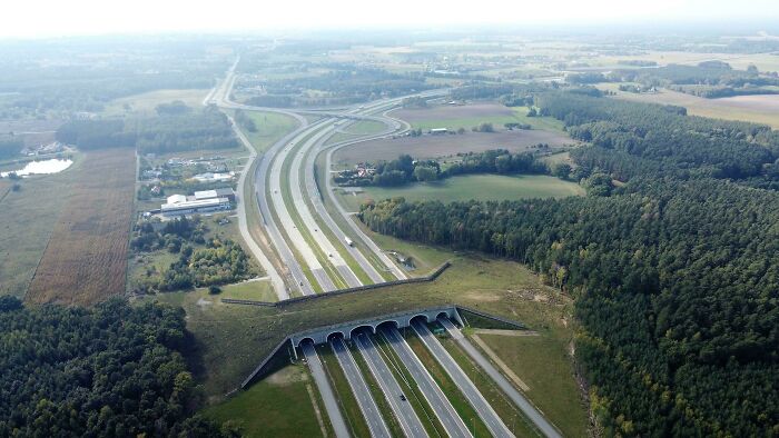 Aerial view of brilliant infrastructure showing a multi-lane highway with a wildlife overpass surrounded by greenery.