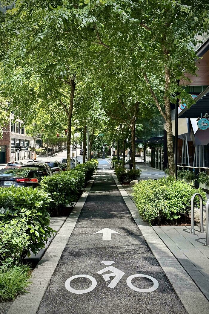 Urban bike lane surrounded by green trees and shrubs, showcasing brilliant infrastructure in a city setting.