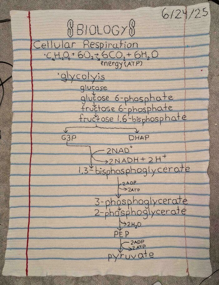 Crochet notebook page with detailed cellular respiration biology notes, showcasing incredible crocheted craftsmanship by enthusiasts.