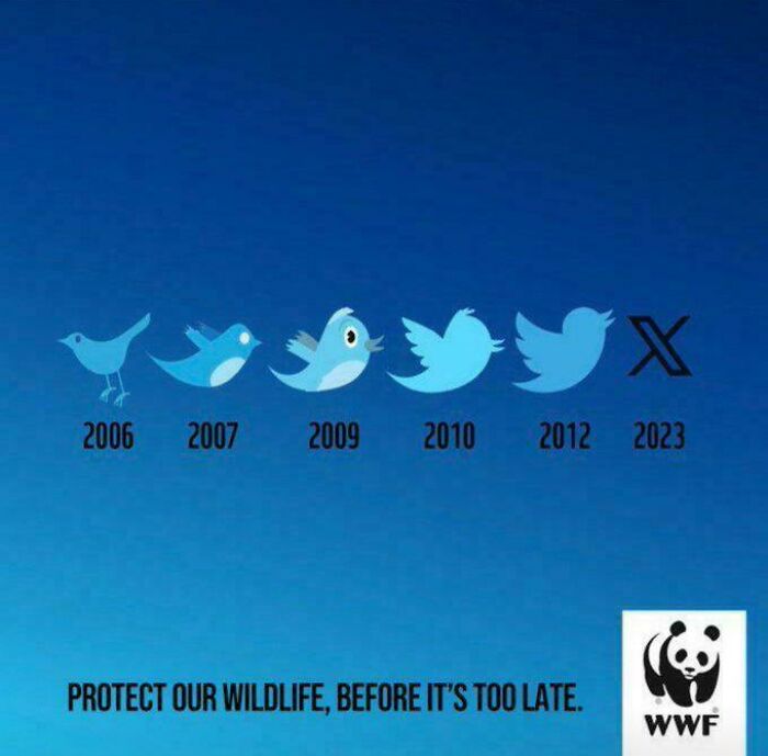 Evolution of a popular social media logo shown with creative design ideas highlighting wildlife protection message.
