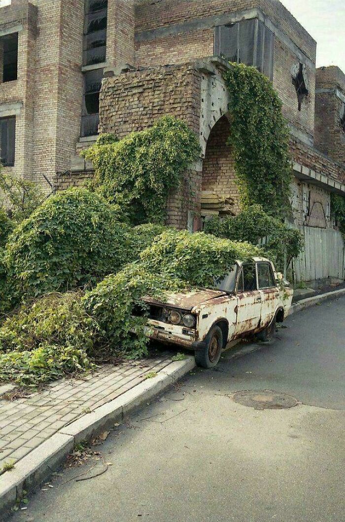 Rusty abandoned car overtaken by vegetation near a decaying brick building in urban hell environment.