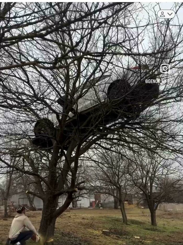 Accident with a car stuck high in a bare tree, looking expensive. A person on the ground saws a tree branch.