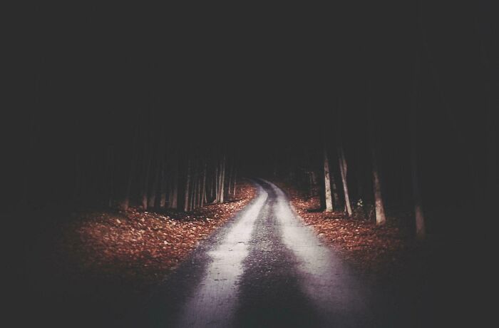 Dark forest road at night surrounded by trees, evoking a terrifying moment nature stopped people in their tracks.