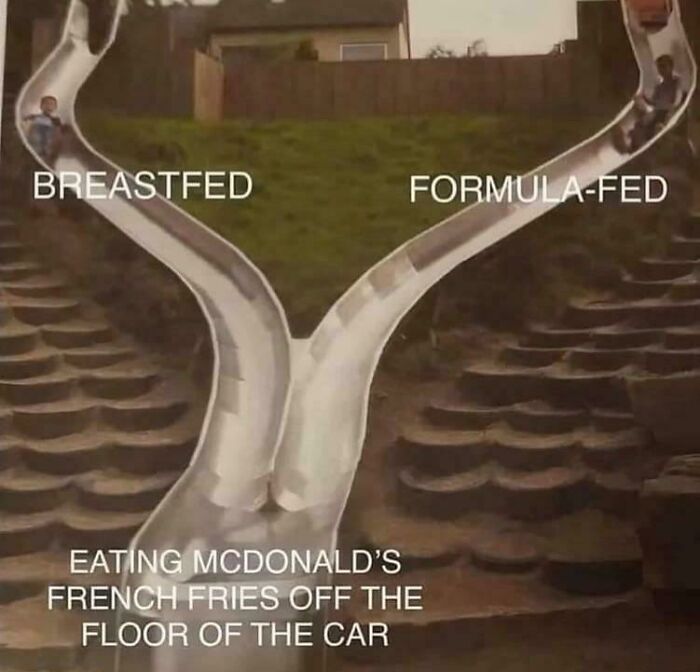 Two children on slides labeled breastfed and formula-fed, with a dad helping a child eat McDonald's fries off the car floor, showing parenting moments.