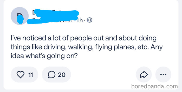 Screenshot of a wild post from an app dedicated to neighbors, discussing unusual daily activities observed outside.