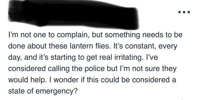Screenshot of a wild post from a neighbors app complaining about constant lantern flies as a local nuisance.