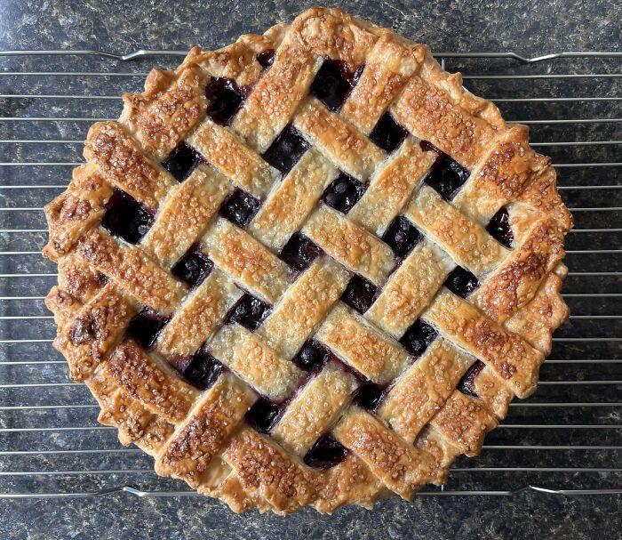 Golden lattice-topped fruit pie cooling on a wire rack, showcasing one of the incredible bakes.