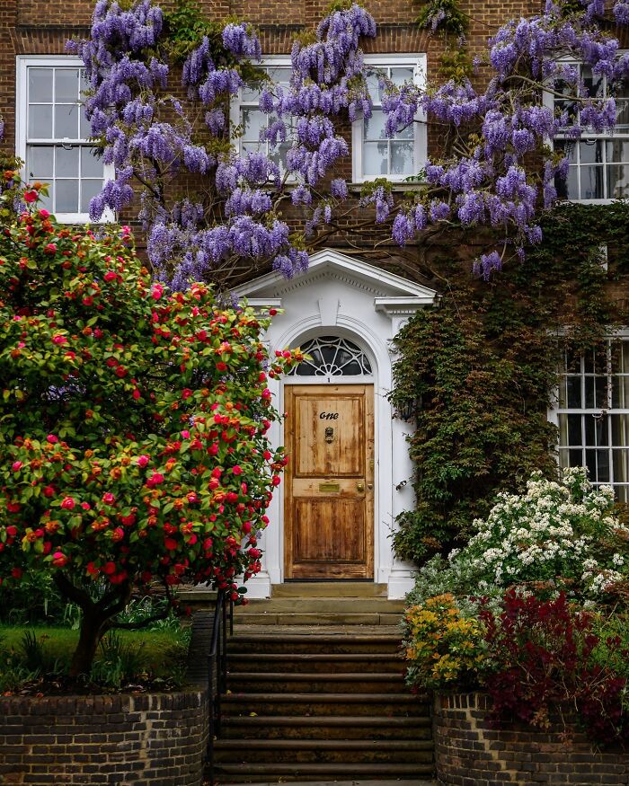 Charming architectural feat featuring a wooden door framed by purple wisteria and vibrant garden foliage in front of a brick building.