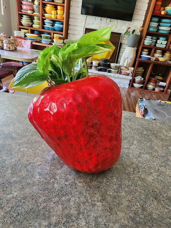Large red strawberry-shaped planter with green leaves inside, displayed as a unique thrift store find on kitchen counter.