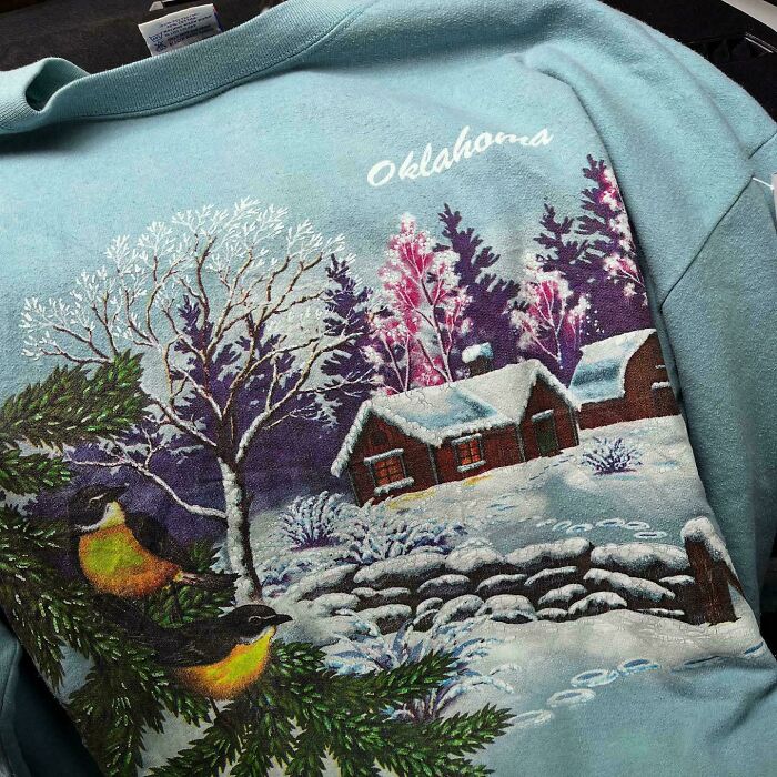 Vintage Oklahoma sweatshirt with a winter cabin scene and birds, a unique thrift store find worth bragging about