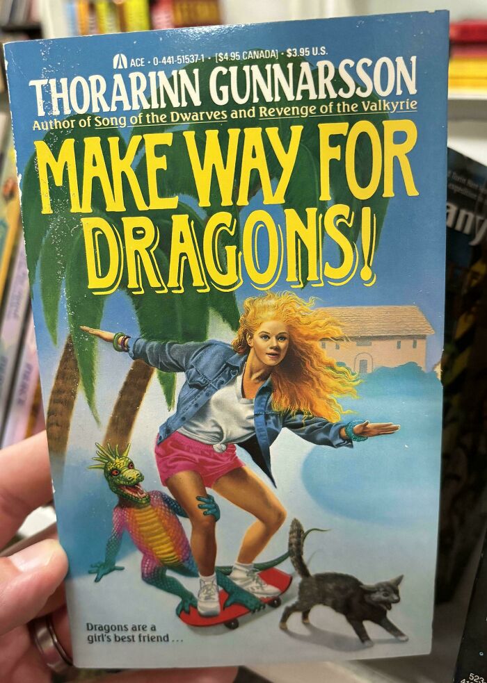 Book cover from 57 books covers that are so incredibly awful showing a girl on a skateboard with a dragon and cat.