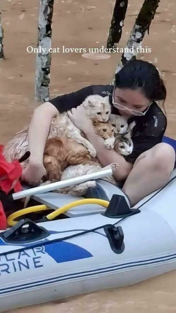 Amazing photos: woman in inflatable boat hugging multiple soaked cats during flood rescue, affectionate cat lover moment