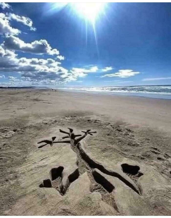 Sand sculpture on a beach showing a detailed tree design under bright sunlight, evoking feelings of nostalgia and age.