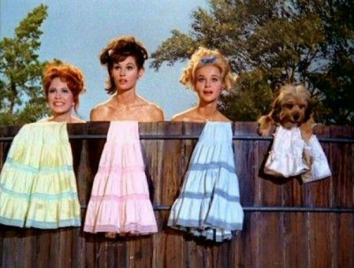 Scene from a classic TV show with three women and a dog in dresses behind a wooden fence, evoking nostalgia and feeling old.