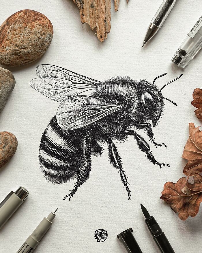 Highly detailed black-and-white illustration of a bee surrounded by drawing pens and natural elements.