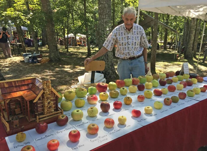 Elderly man at outdoor event displaying a wide variety of apples, showcasing interesting facts from an online group collection.