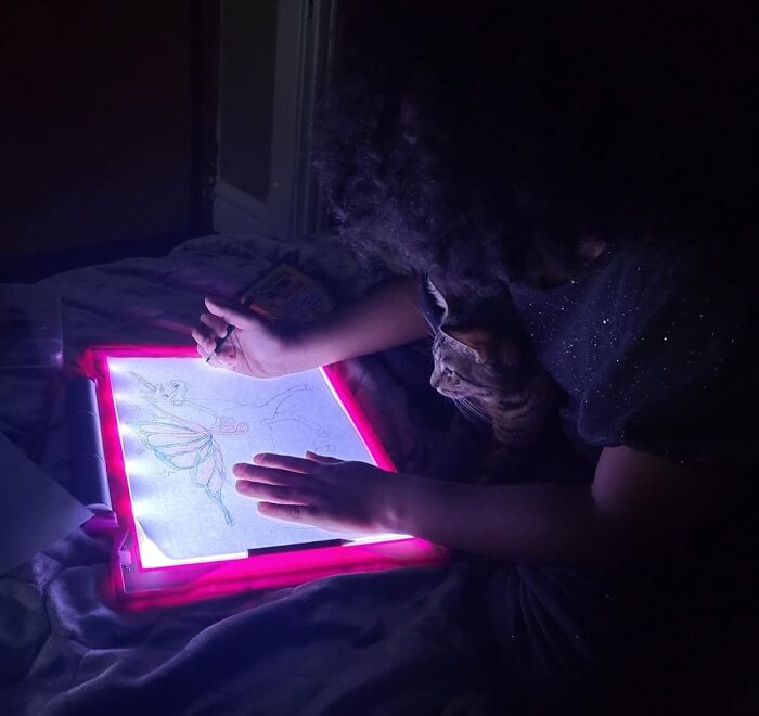 Person drawing on a glowing light pad with a cat watching closely, illustrating creative hobbies to try offline.