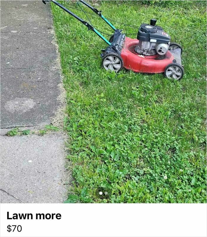 Lawn mower with a typo in the listing title showcasing one of the common typos questioning people's intelligence.