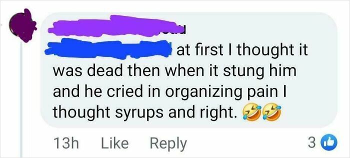 Screenshot of a funny social media comment filled with typos illustrating common mistakes and questionable intelligence.
