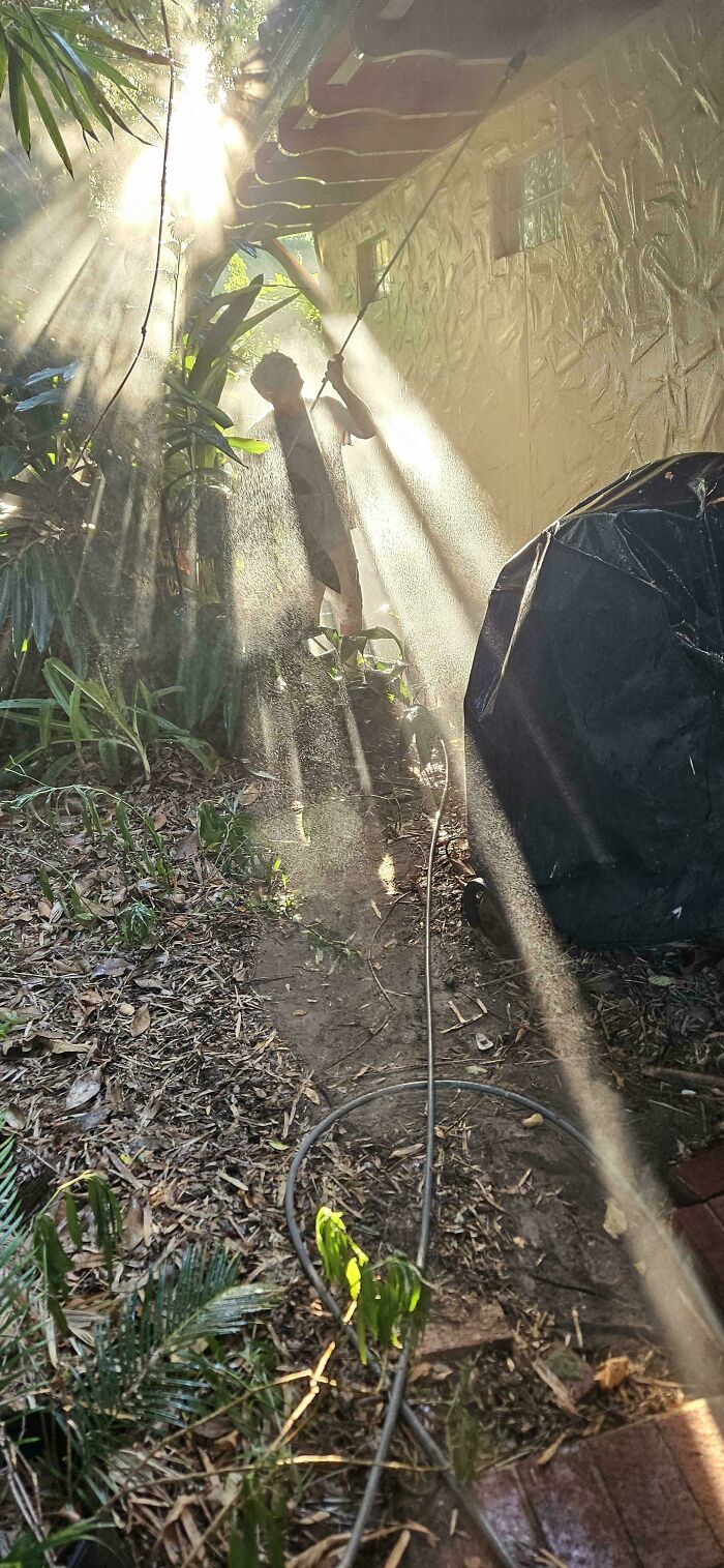Person power washing outside with sunlight creating beams like a Renaissance masterpiece painting in a garden setting