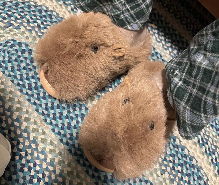 Fuzzy brown animal slippers on feet with plaid pajama pants on a patterned rug, showcasing peak coolness comfort.