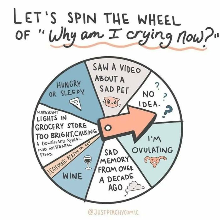 Comic wheel illustrating reasons for crying, highlighting mental health themes with relatable emotional triggers and humor.